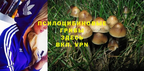 не бодяженный Каменск-Шахтинский