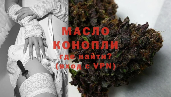эйфоретик Каменка