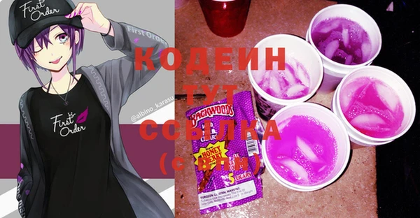 эйфоретик Каменка