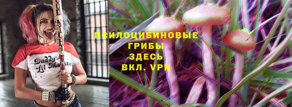 не бодяженный Каменногорск