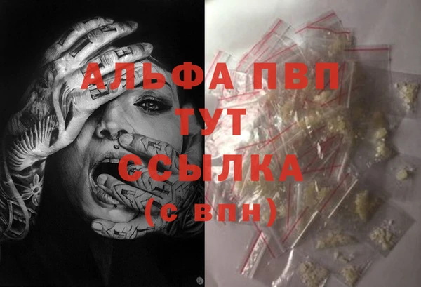 эйфоретик Каменка