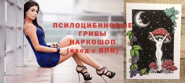 эйфоретик Каменка