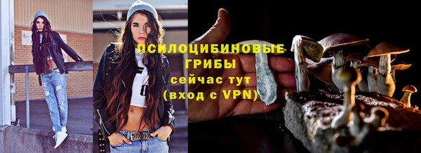 не бодяженный Каменск-Шахтинский