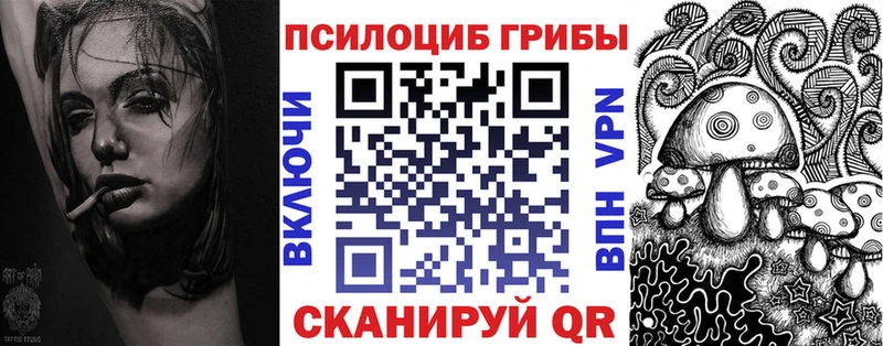 Псилоцибиновые грибы Cubensis  гидра   Курлово 