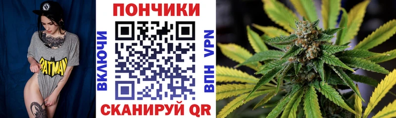 Канабис конопля кракен сайт Курлово